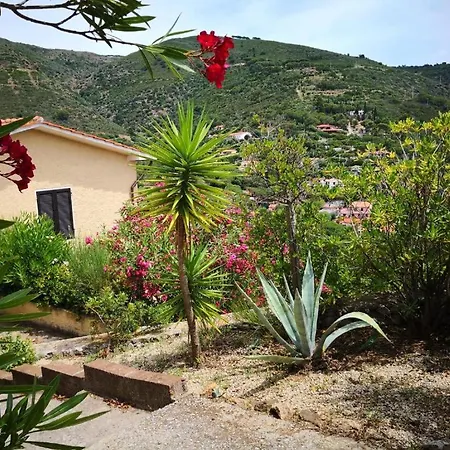 Vista Su Morcone * Capoliveri (Isola d'Elba)
